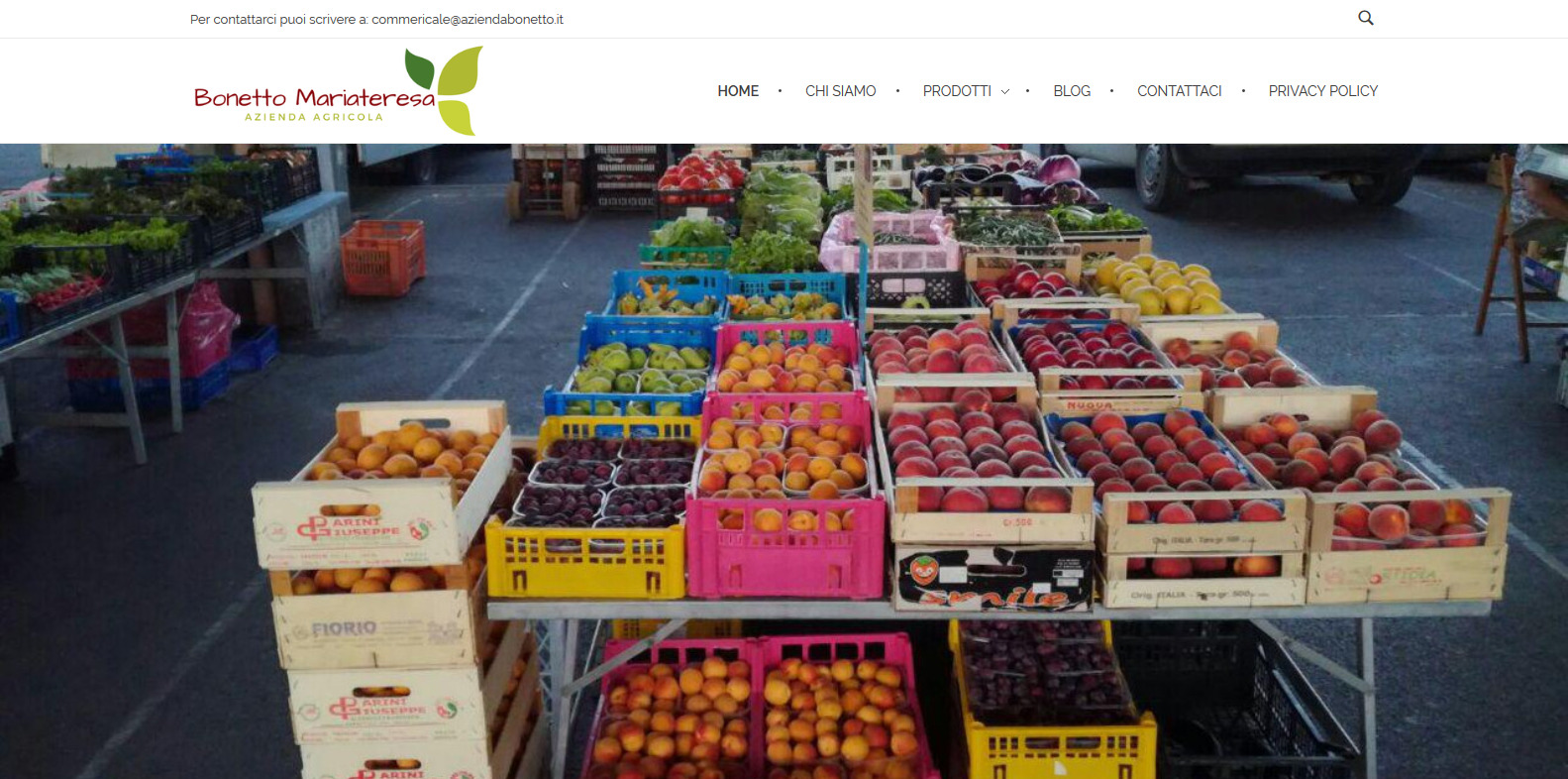 Página Web Empresa Agrícola